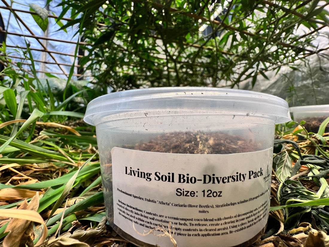 How to Release Your Bio-Diversity Pack in Living Soil Containers - MI Beneficials