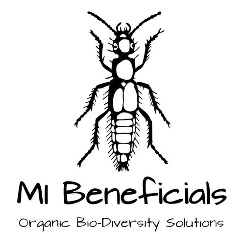 How to Use Bokashi (And Why You Absolutely Should) – MI Beneficials