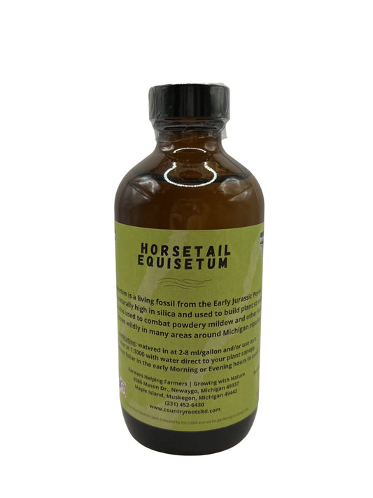 Horsetail Equisetum - MI Beneficials