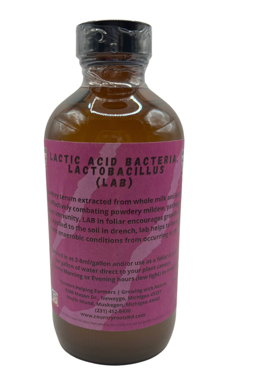 Lactic Acid Bacteria - Lactobacillus (LAB) - MI Beneficials